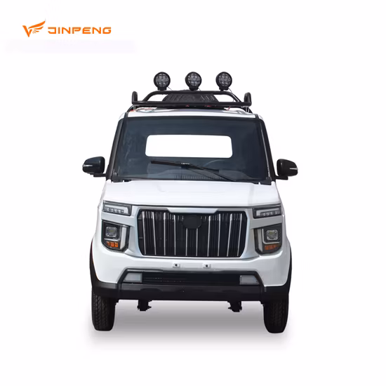 Neues Design Elektro-Pickup-LKW Chinesischer Mini-LKW Elektro-Frachtwagen